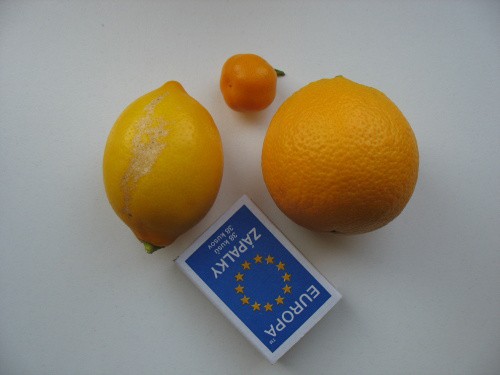 plody Meyeru, kalamondinu a HAMLINU 22.2.2011