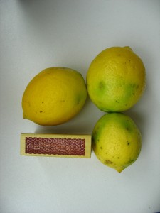 21.6.-2010-uražené plody