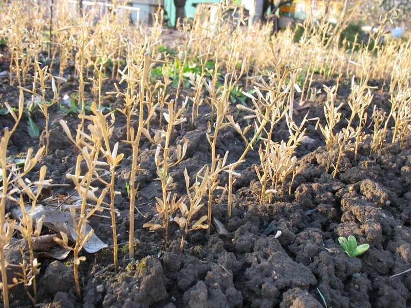 18.4.2012 jednoleté