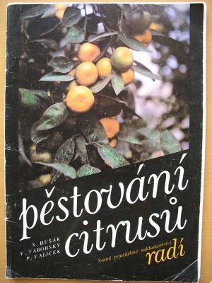 Hušák, Táborský, Valíček- Pěstování citrusů